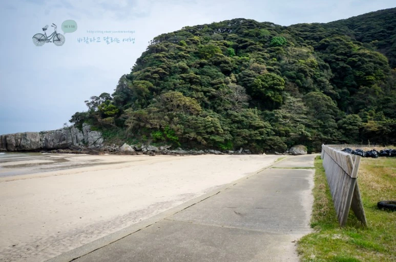 DSC08050_wide1080mark.jpg?type=w773