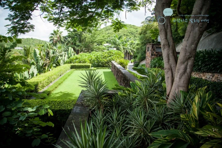 IMG_0128_wide1080%EB%B0%94%EB%9E%8Cmark.jpg?type=w773