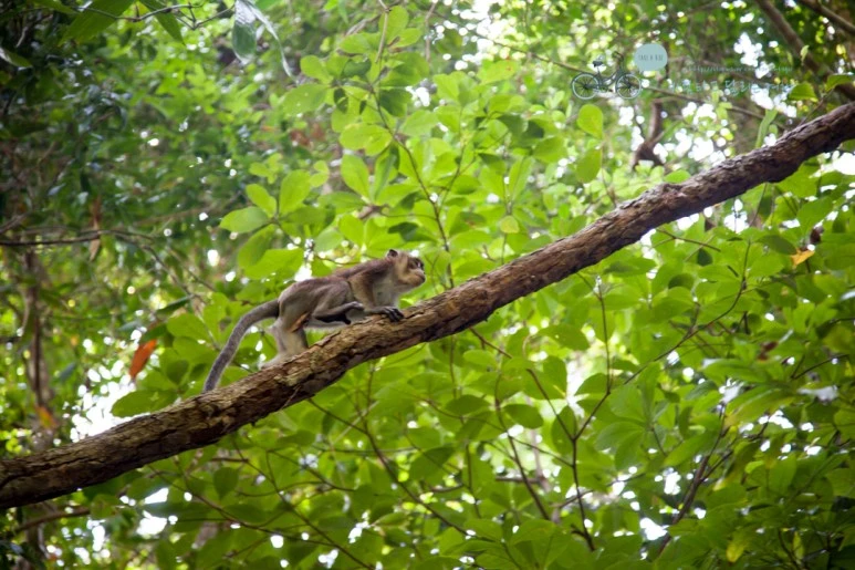 IMG_2171_Wide1080mark%EB%B0%94%EB%9E%8C%ED%83%80%EA%B3%A0.jpg?type=w773