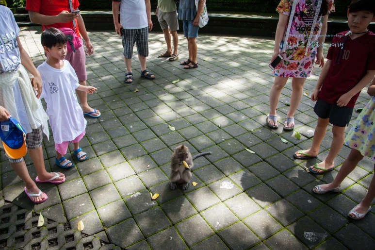 5D_IMG_1751_Short1200mark%EB%B0%94%EB%9E%8C.jpg?type=w773