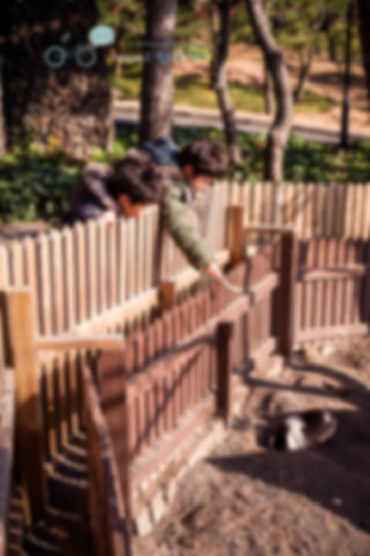 image_7386527641476869763859.jpg?type=w773