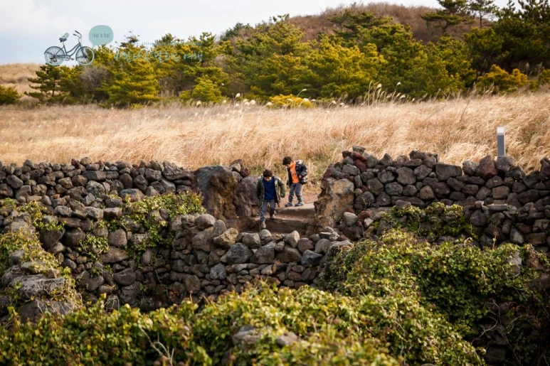 DSC00079_4.jpg?type=w773