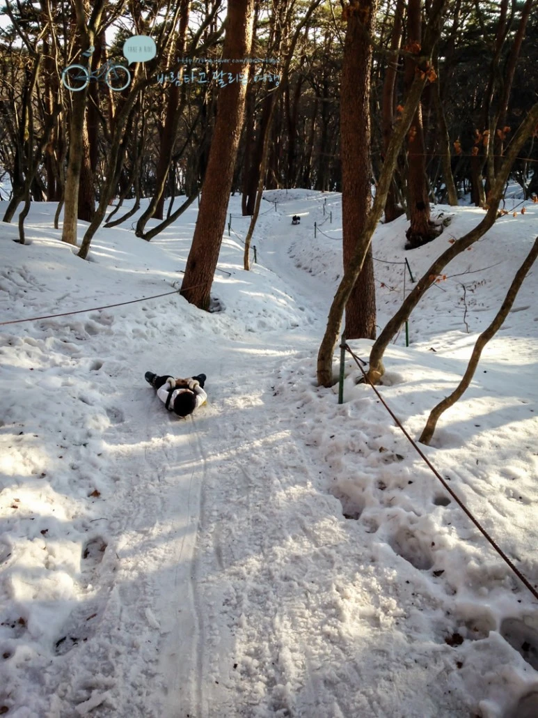 IMG_2686.jpg?type=w773