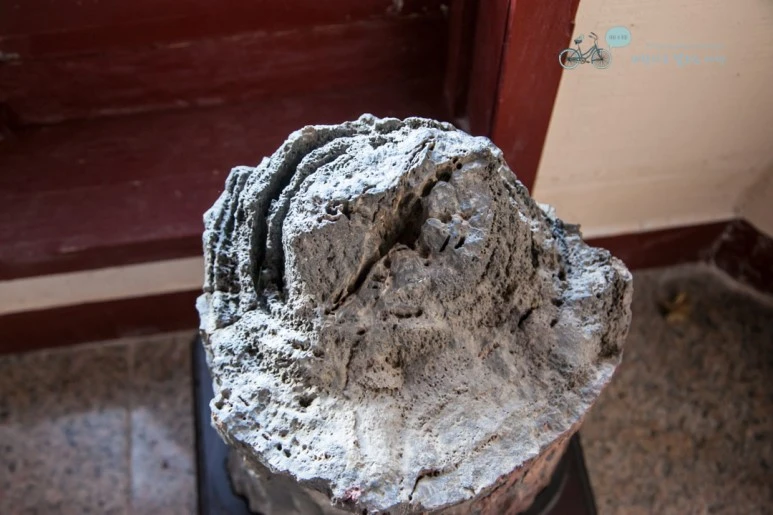 IMG_1221_Wide1080mark%EB%B0%94%EB%9E%8C.jpg?type=w773