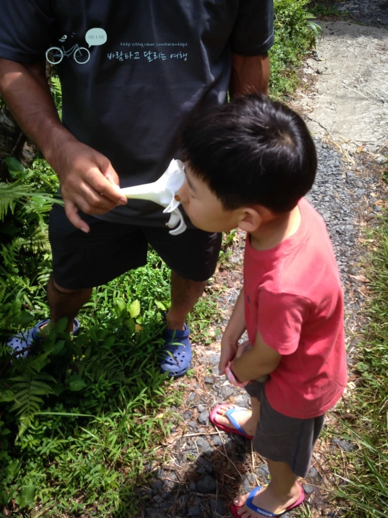 IMG_1539_wide1080mark.jpg?type=w773