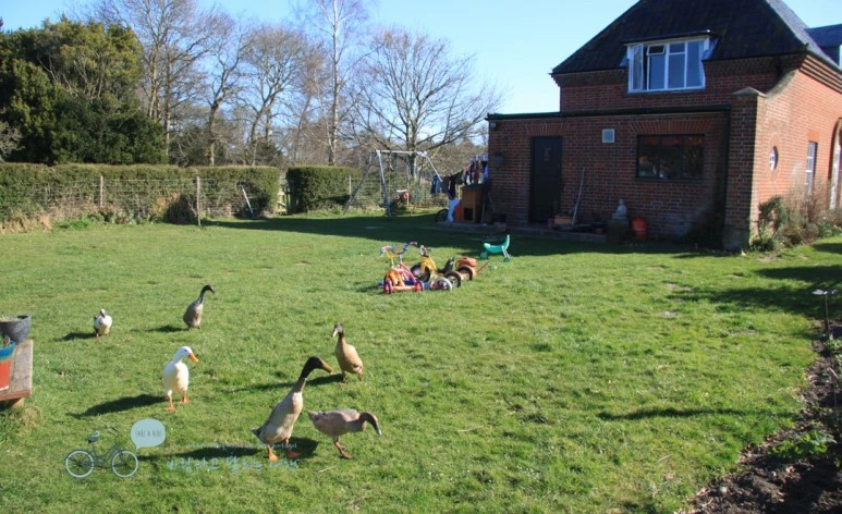 IMG_3555.jpg?type=w773