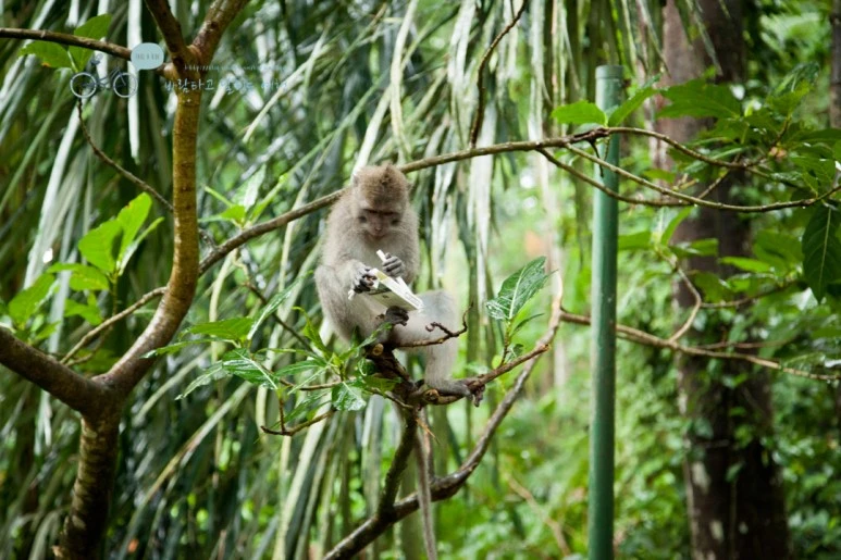 IMG_0161_Wide1080mark%EB%B0%94%EB%9E%8C%ED%83%80%EA%B3%A0-3.jpg?type=w773