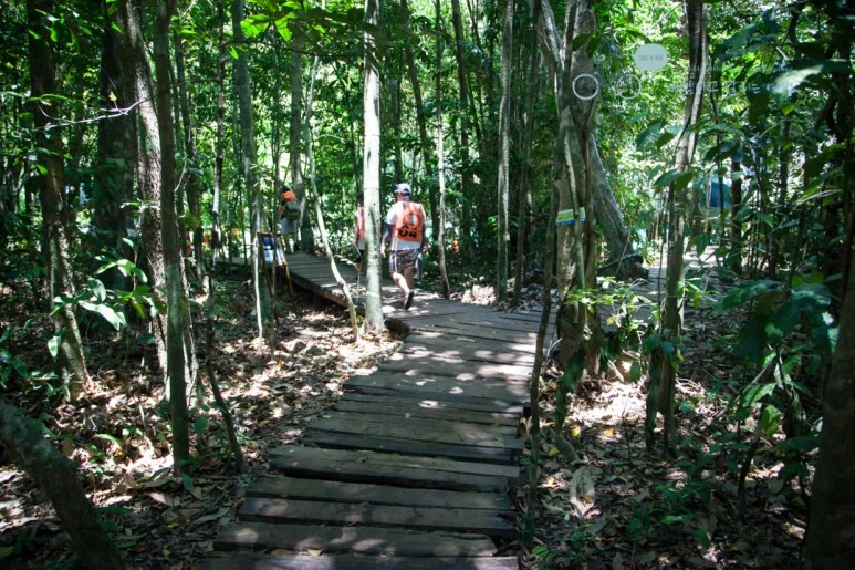 IMG_2063_Wide1080mark%EB%B0%94%EB%9E%8C%ED%83%80%EA%B3%A0.jpg?type=w773