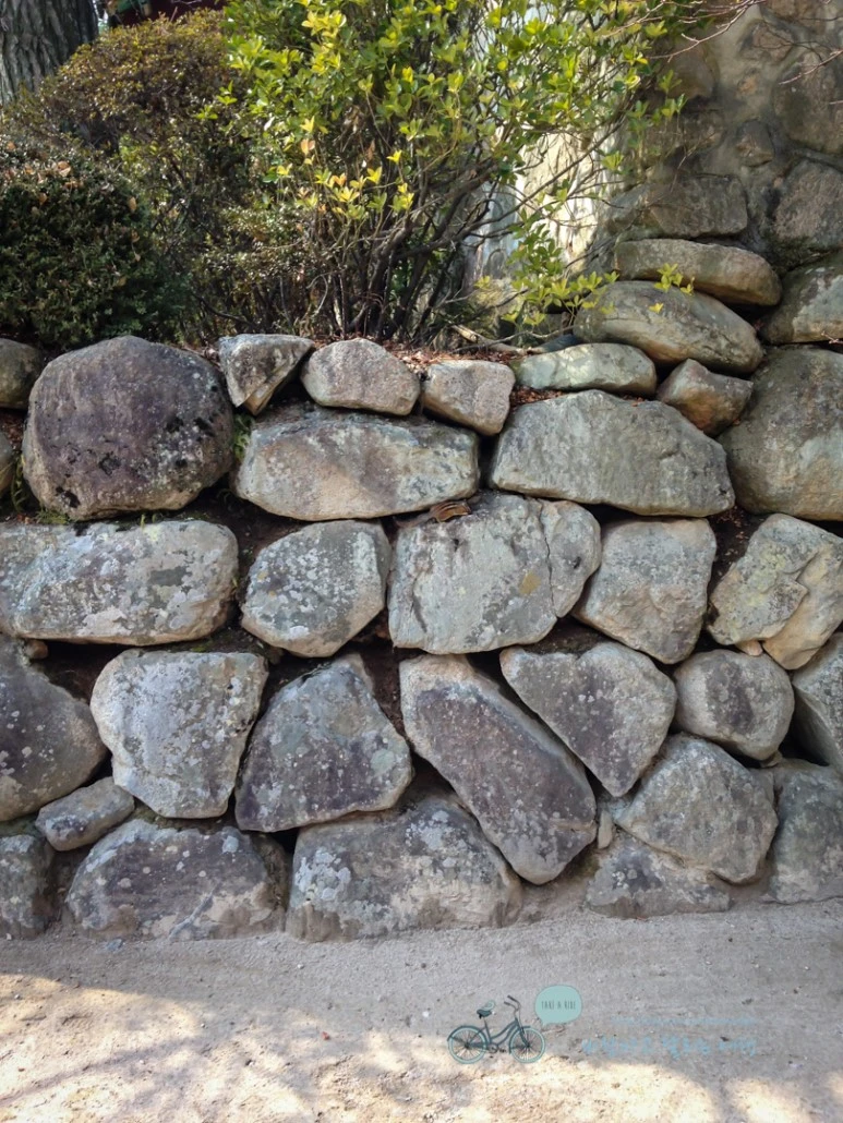 IMG_3004_wide1080mark.jpg?type=w773