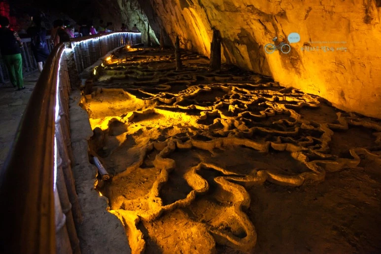 IMG_1182_Wide1080mark%EB%B0%94%EB%9E%8C.jpg?type=w773