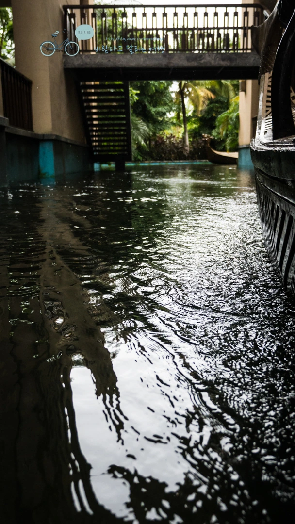 _1000913_wide1080_Wide1080mark_%EB%B0%94%EB%9E%8C.jpg?type=w773