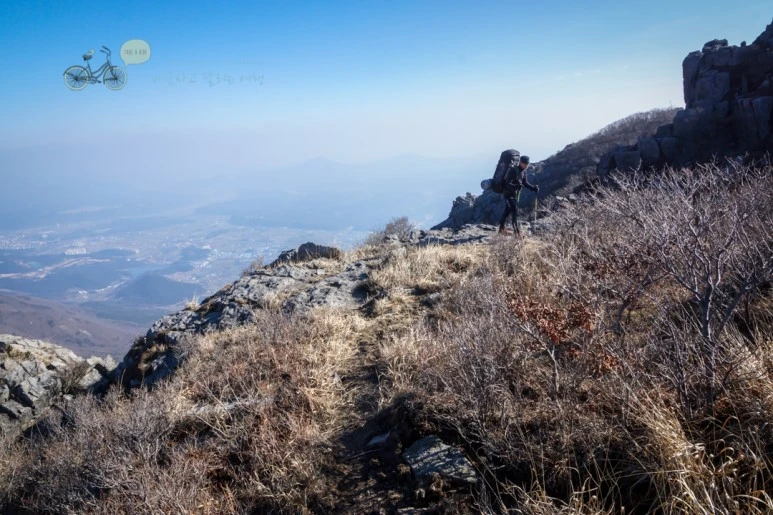 DSC04602_wide1080mark.jpg?type=w773