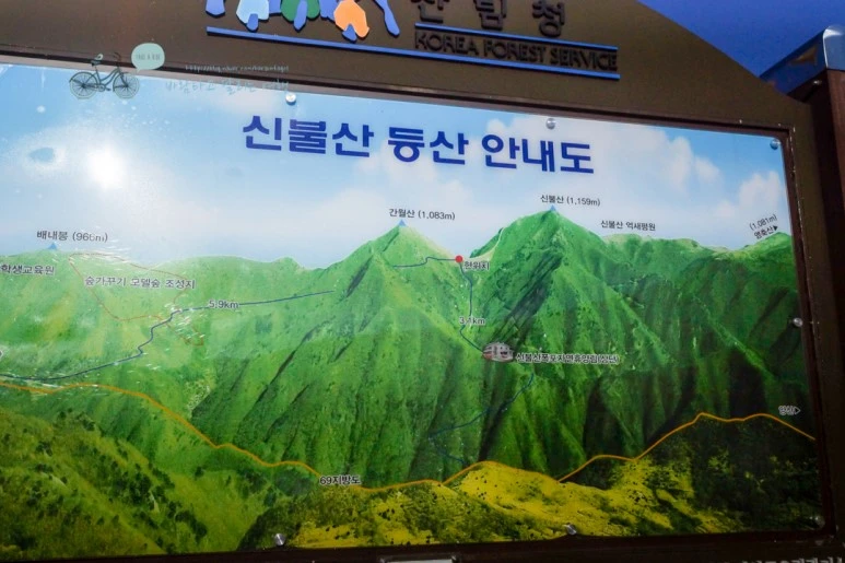 DSC04515_wide1080mark.jpg?type=w773