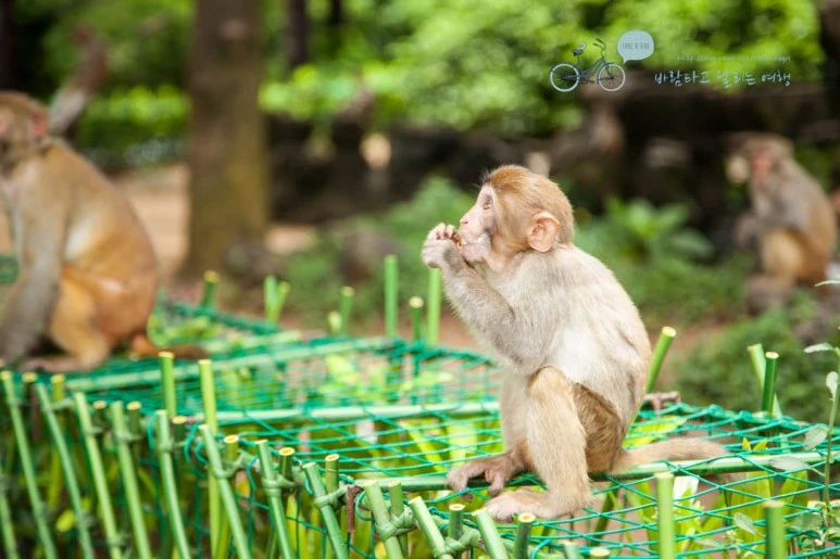 IMG_1282_wide1080%EB%B0%94%EB%9E%8Cmark.jpg?type=w773