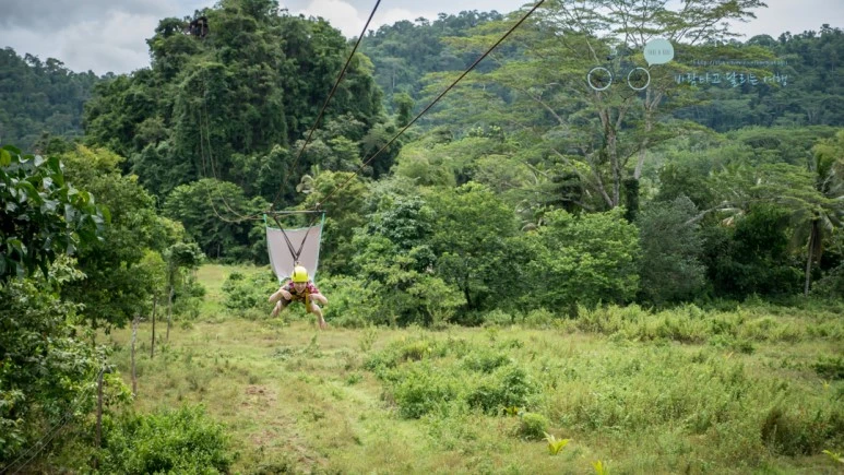 _1030101_Wide1080mark.jpg?type=w773