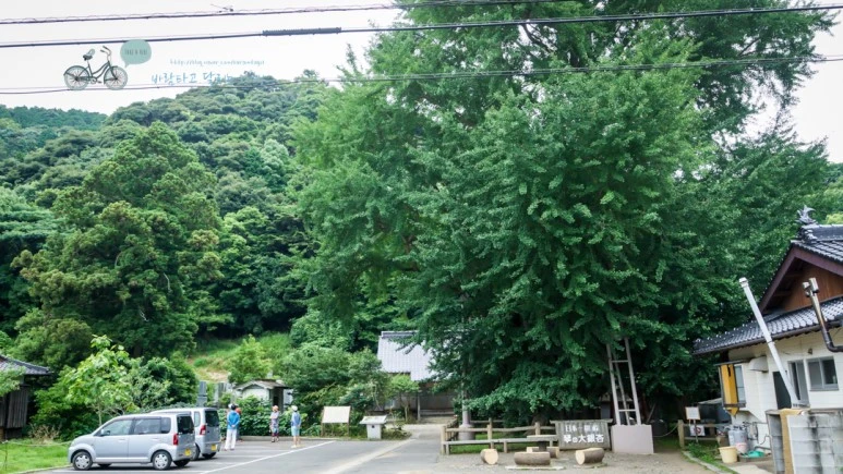 DSC01578_wide1080mark.jpg?type=w773