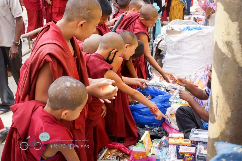 DSC00337.jpg?type=w773