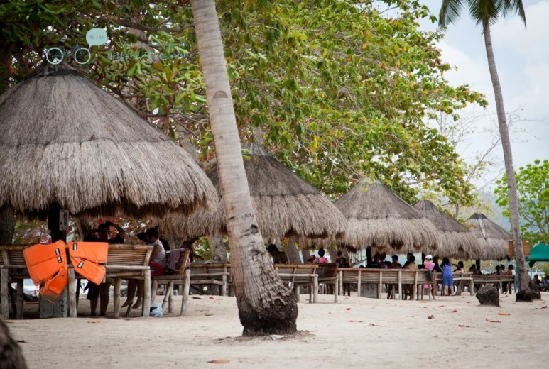 IMG_1688_Wide1080mark%EB%B0%94%EB%9E%8C%ED%83%80%EA%B3%A0.jpg?type=w773