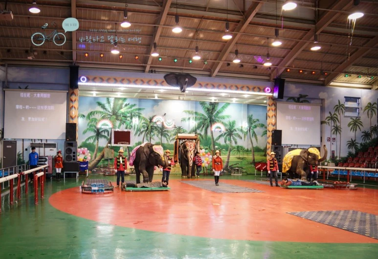 DSC00181_5.jpg?type=w773