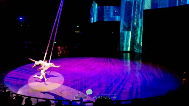 DSC05404_wide1080mark%EB%B0%94%EB%9E%8C.jpg?type=w773