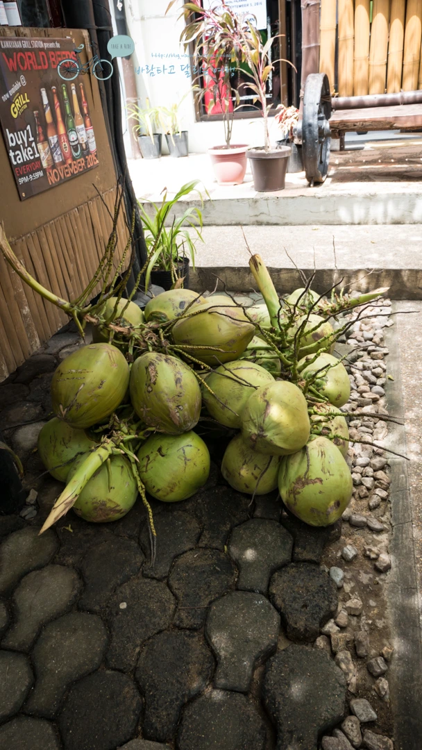 _1010606_Wide1080mark%EB%B0%94%EB%9E%8C%ED%83%80%EA%B3%A0.jpg?type=w773