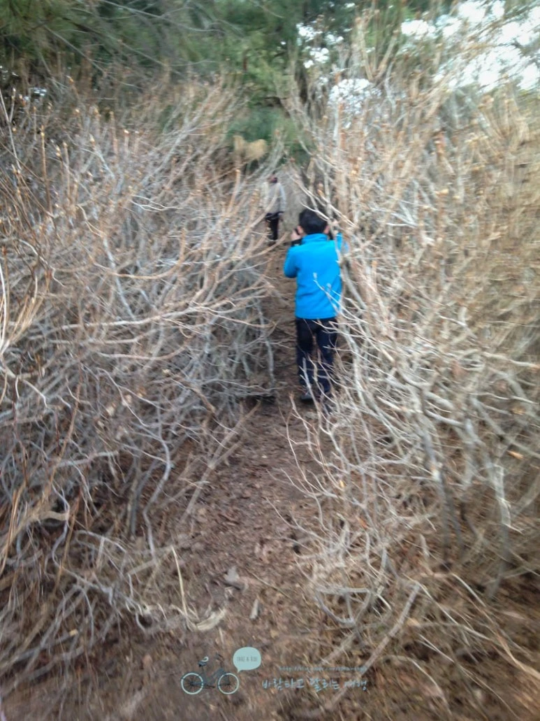 IMG_1611-_Wide1080mark.jpg?type=w773