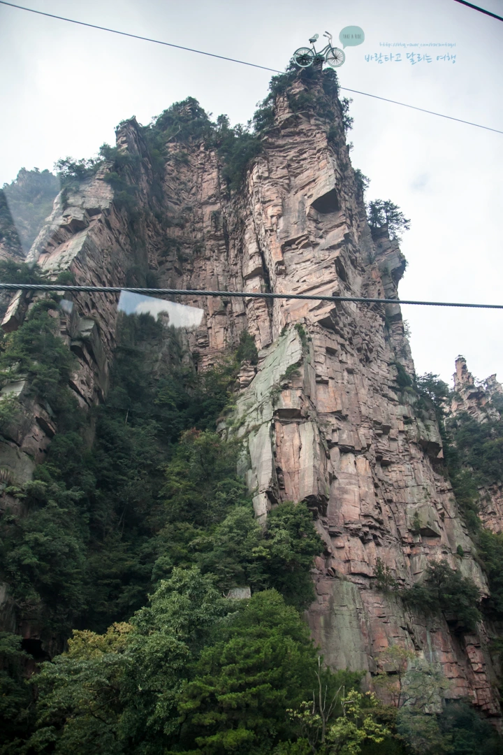 IMG_1143_Wide1080mark%EB%B0%94%EB%9E%8C.jpg?type=w773