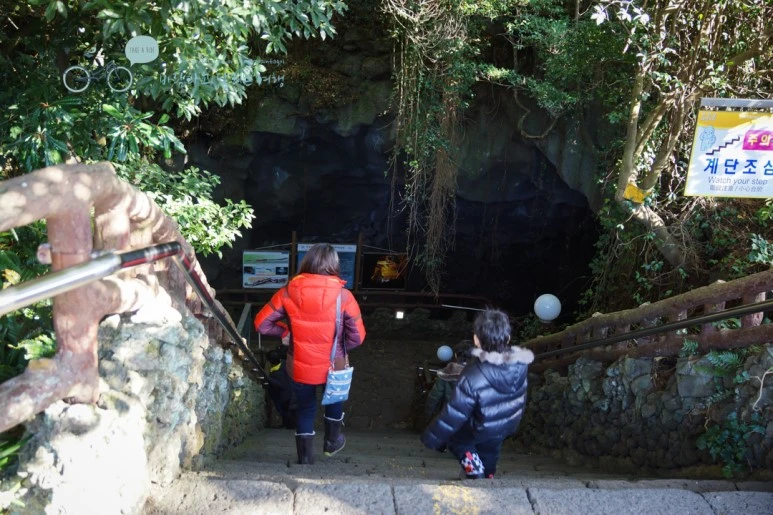 DSC00216_2.jpg?type=w773