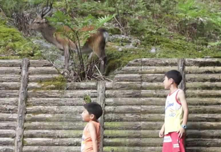 %EC%8A%A4%ED%81%AC%EB%A6%B0%EC%83%B7_2017-02-03_11.18.03.png?type=w773