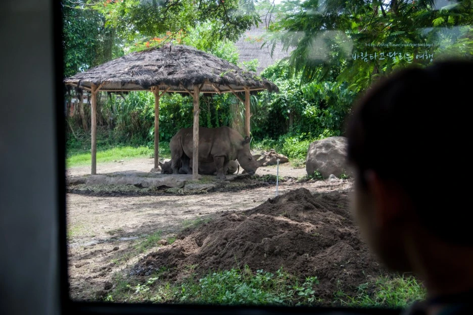 5D_IMG_2728_Short1200mark%EB%B0%94%EB%9E%8C.jpg?type=w1