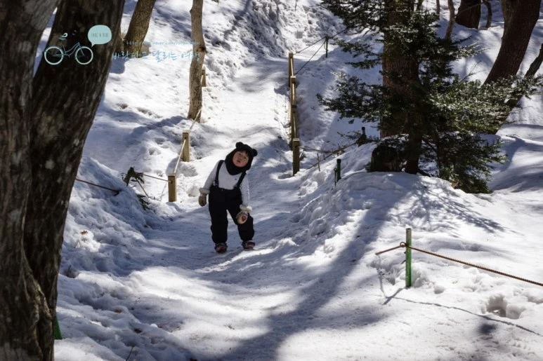 DSC00034_3.jpg?type=w773