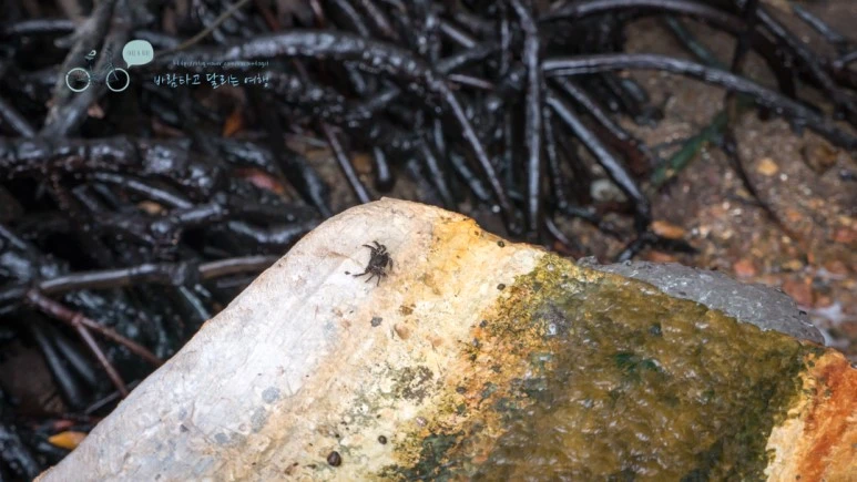 _1010691_Wide1080mark%EB%B0%94%EB%9E%8C%ED%83%80%EA%B3%A0.jpg?type=w773