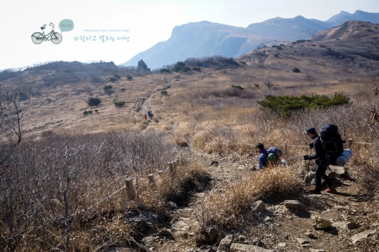 DSC04565_wide1080mark.jpg?type=w773