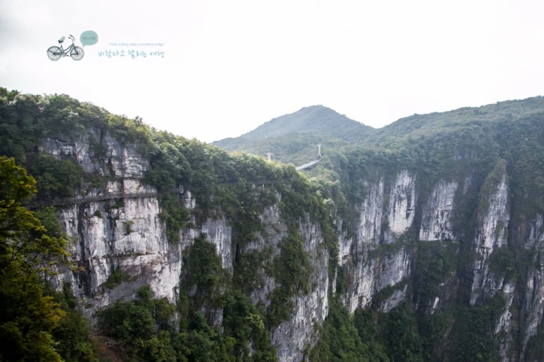 IMG_0190_Wide1080mark%EB%B0%94%EB%9E%8C.jpg?type=w773