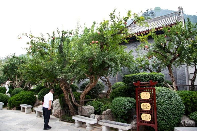 IMG_0204_Wide1080mark%EB%B0%94%EB%9E%8C.jpg?type=w773