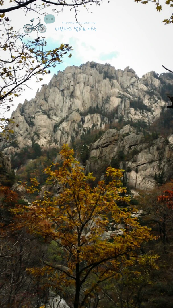 KakaoTalk_Photo_2014-10-13-13-49-30_90_wide1080mark.jpg?type=w773