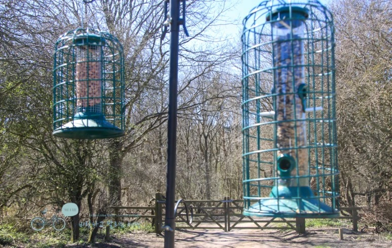 IMG_3763.jpg?type=w773