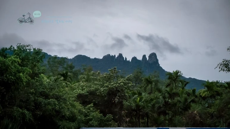 _1010134_wide1080_Wide1080mark_%EB%B0%94%EB%9E%8C.jpg?type=w773