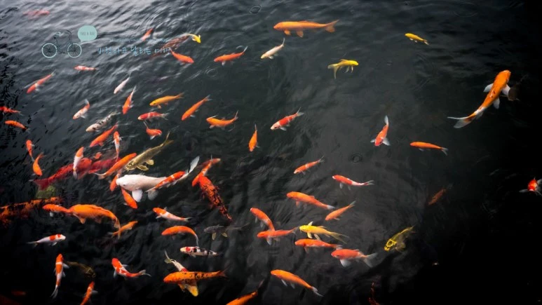 _1000116_wide1080_Wide1080mark_%EB%B0%94%EB%9E%8C.jpg?type=w773