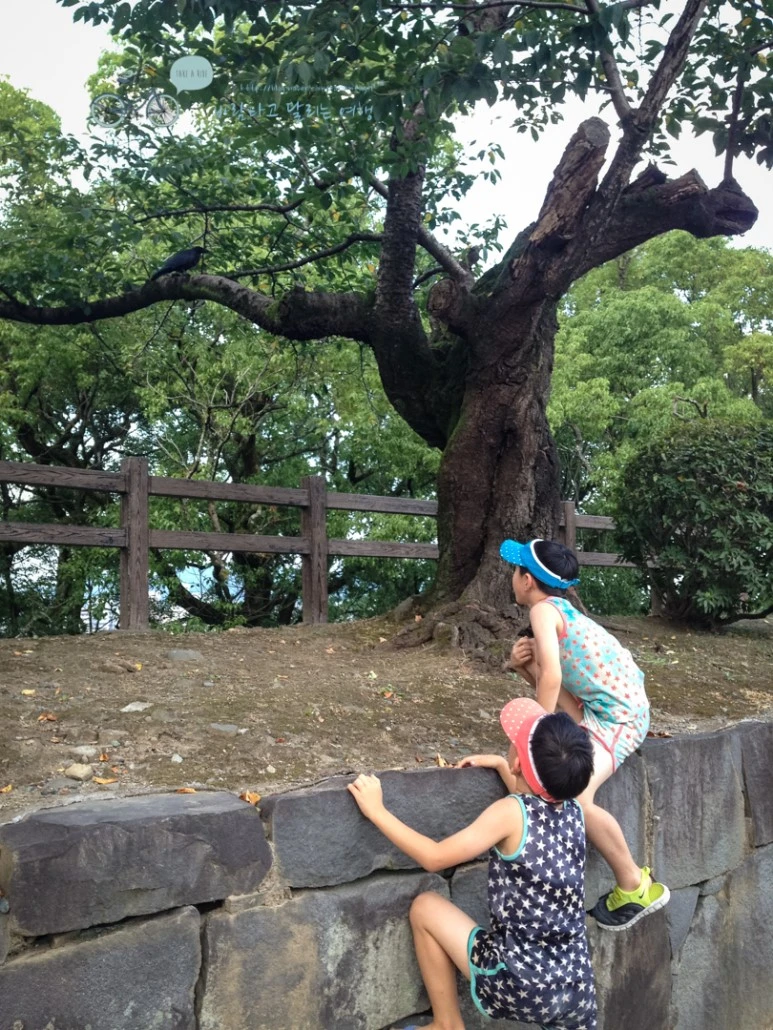 IMG_7891_wide1080mark.jpg?type=w773