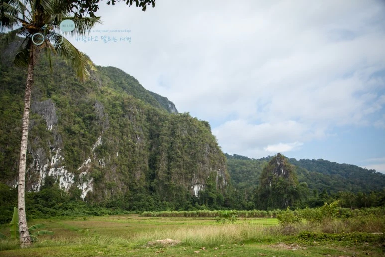 IMG_0574_Wide1080mark%EB%B0%94%EB%9E%8C%ED%83%80%EA%B3%A0.jpg?type=w773