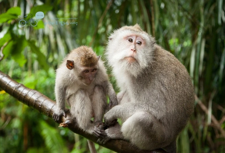 IMG_0136_Wide1080mark%EB%B0%94%EB%9E%8C%ED%83%80%EA%B3%A0-3.jpg?type=w773