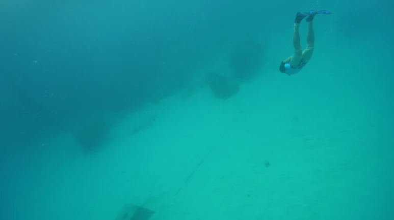 %EC%8A%A4%ED%81%AC%EB%A6%B0%EC%83%B7_2016-07-28_%EC%98%A4%ED%9B%84_4.51.35.png?type=w773