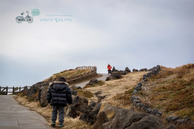 DSC00156_4.jpg?type=w773