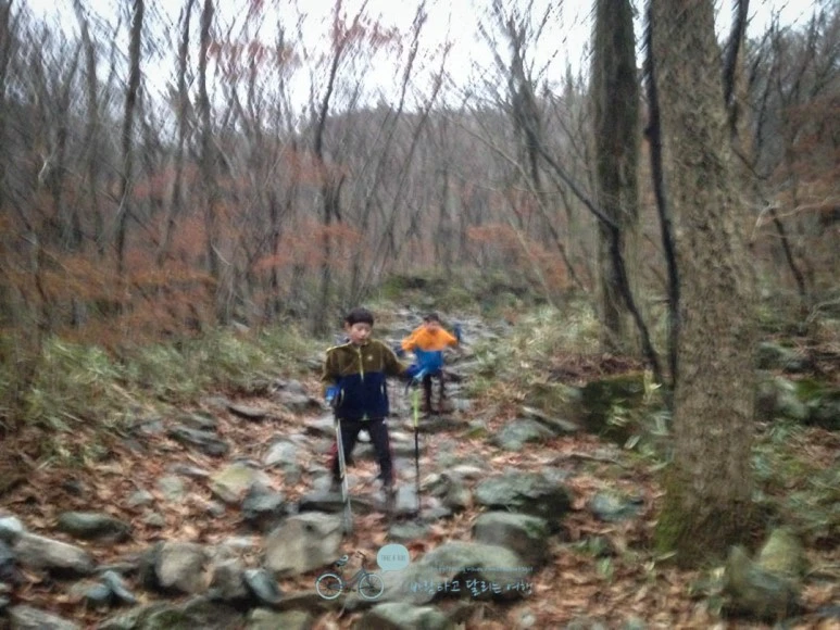 IMG_1519-_Wide1080mark.jpg?type=w773