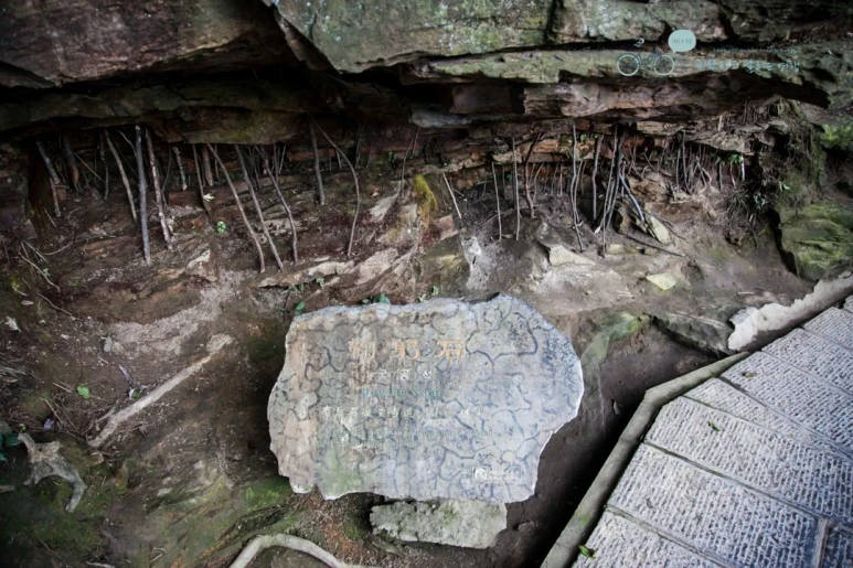 IMG_1280_Wide1080mark%EB%B0%94%EB%9E%8C.jpg?type=w773