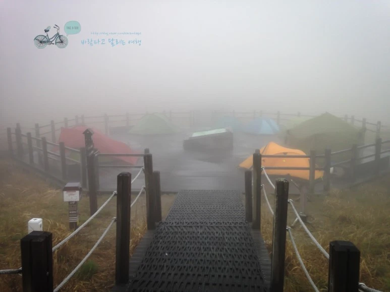 IMG_0786_wide1080mark.jpg?type=w773