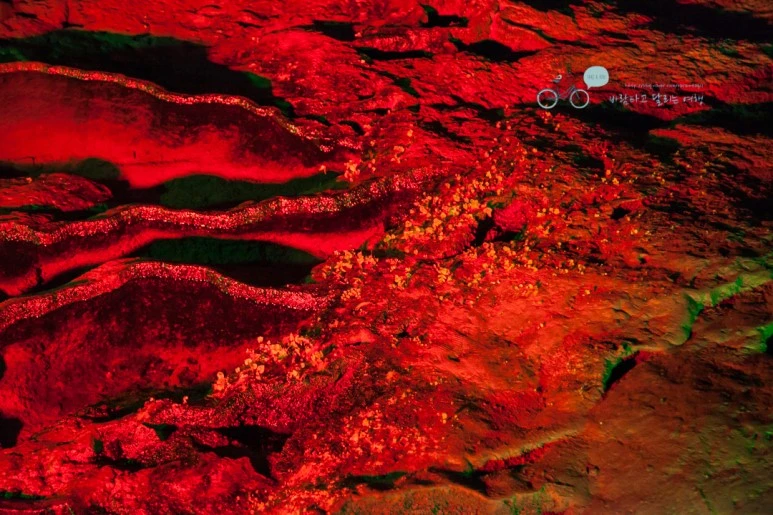 IMG_1180_Wide1080mark%EB%B0%94%EB%9E%8C.jpg?type=w773