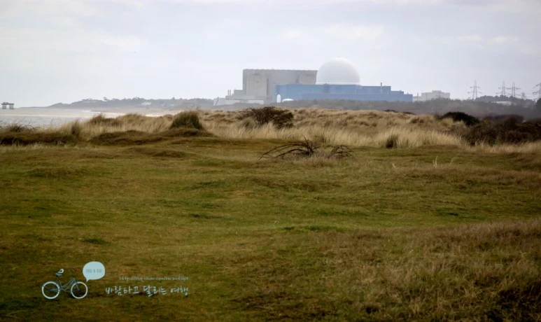 IMG_3345.jpg?type=w773