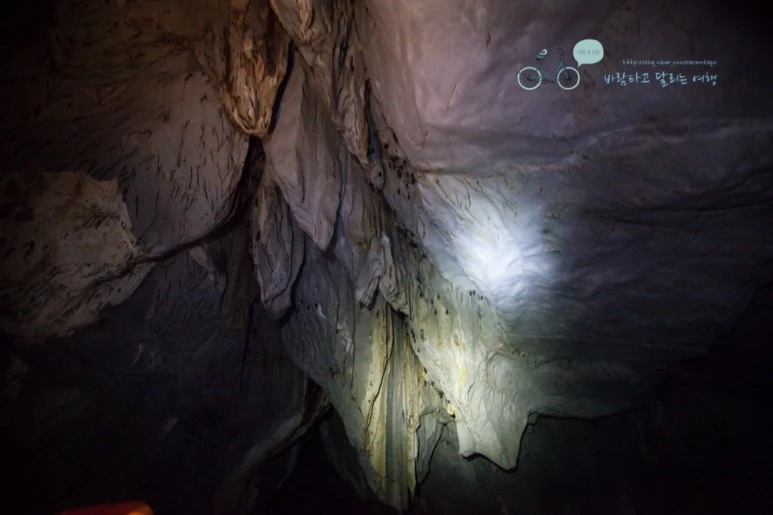 IMG_2133_Wide1080mark%EB%B0%94%EB%9E%8C%ED%83%80%EA%B3%A0.jpg?type=w773